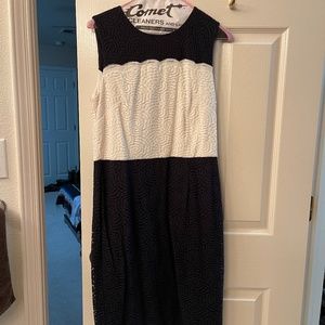 Navy and Ivory Lace Karl Lagerfeld Sheath Dress